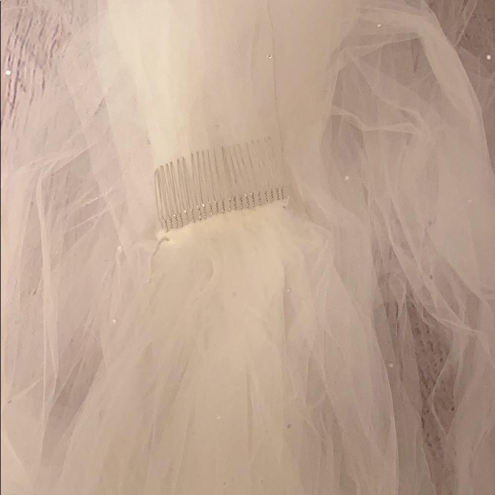 Bridal Veil - Ivory w Metallic Edge, crystals